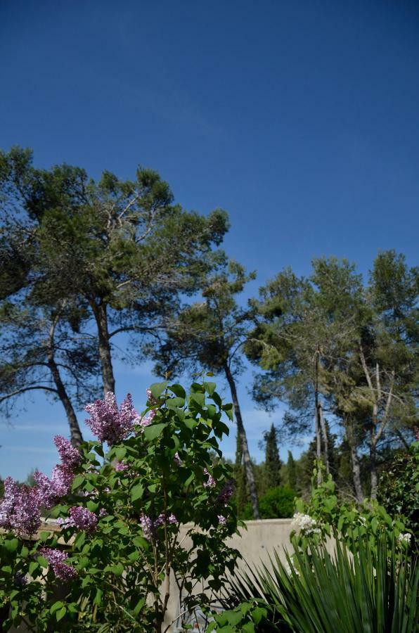 Villa Mas du Puech Clapas Assas Exterior foto